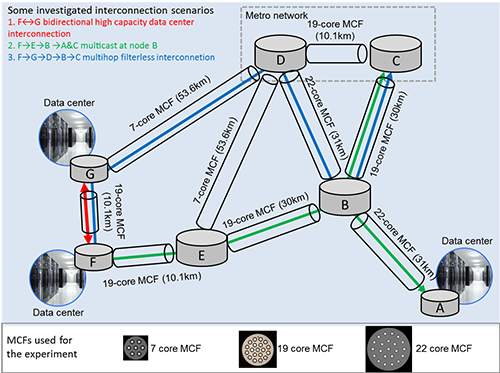 Investigated multicore fiber network architecture