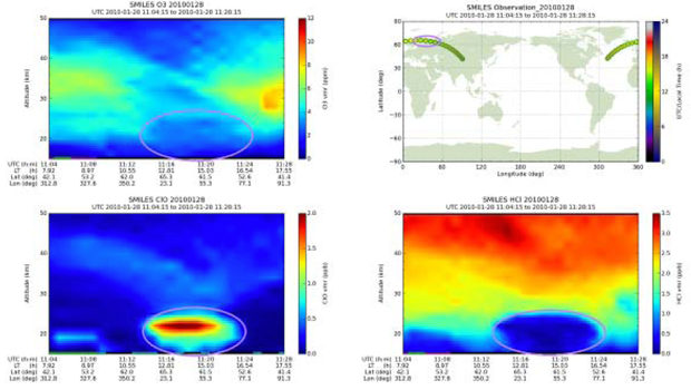 Stratospheric ozone depletion and variation of related chlorine compounds in high latitude region in the northern hemisphere, which was observed on January 28, 2010