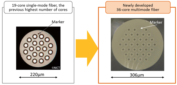 Figure 1: The newly developed 36-core multimode fiber
