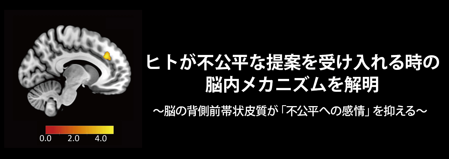 ヒトが不公平な提案を受け入れる時の脳内メカニズムを解明