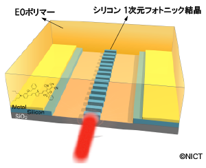 有機・シリコン融合型電気光学変調器の模式図