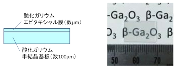 図1　酸化ガリウムエピウエハの断面構造と写真