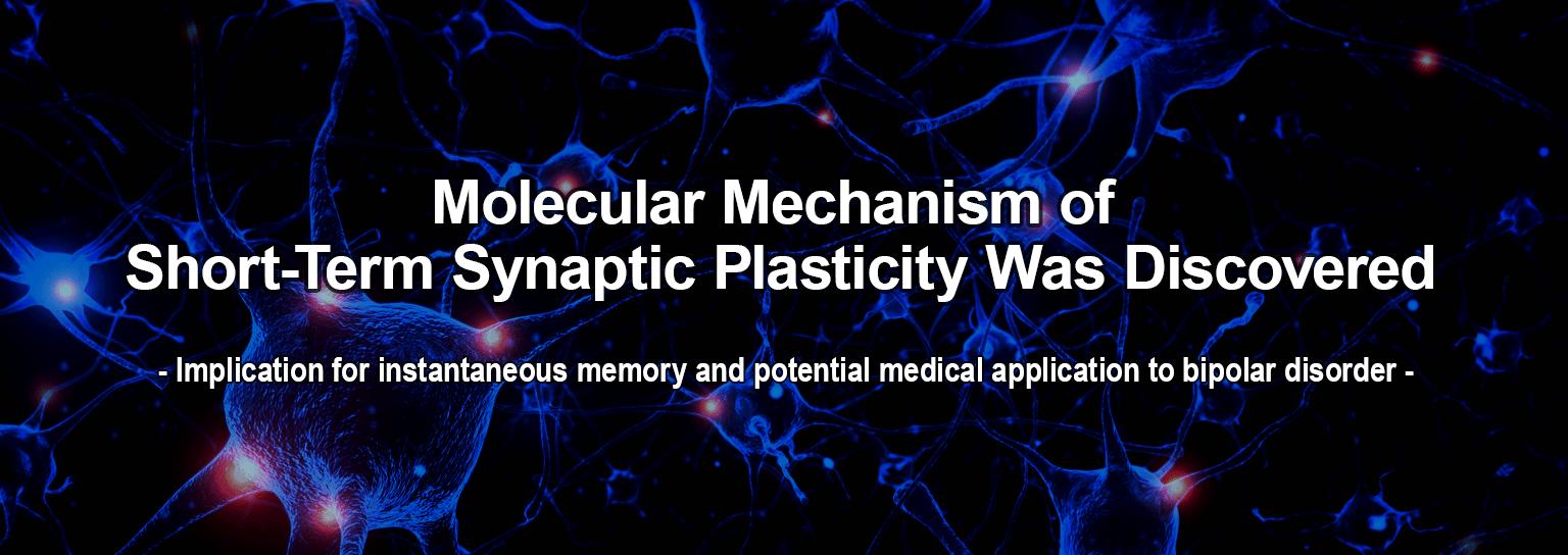 Molecular Mechanism of Short-Term Synaptic Plasticity Was Discovered