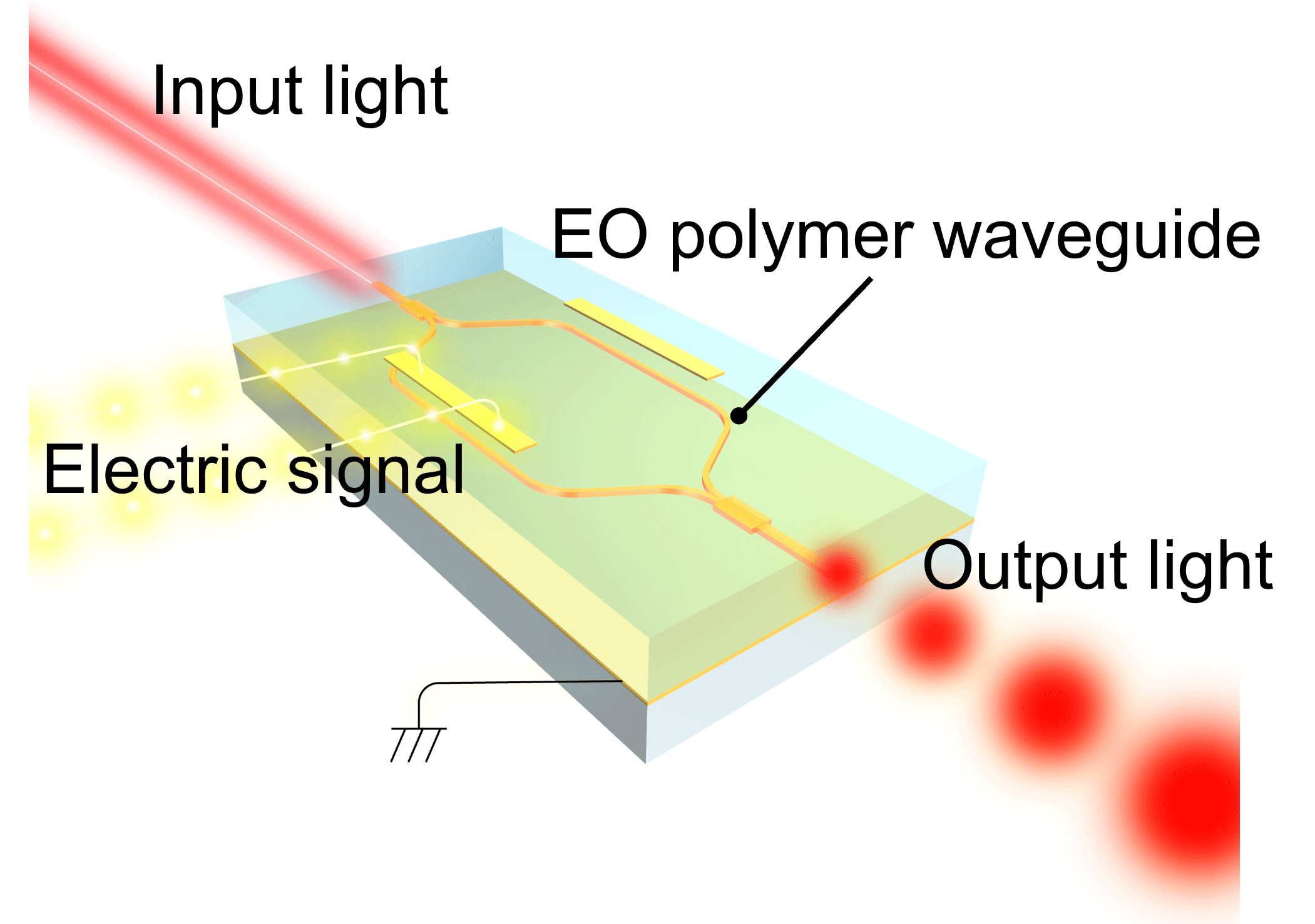 Demonstration of a Highly Efficient Modulator Using the Organic Electro-optic Polymer for Visible Light